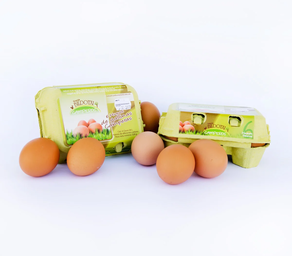 Huevos camperos Bildotxi (media docena)