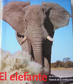 ELEFANTE