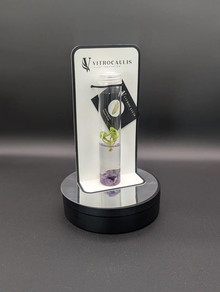 Génesis Semipreciosas Amatista (planta exclusiva como regalo)
