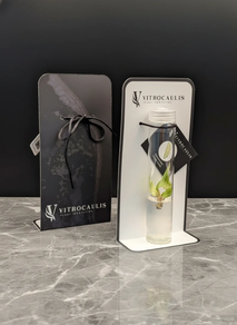 Génesis minímalist la planta exclusiva como regalo