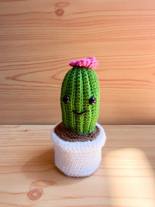 Cactus de crochet