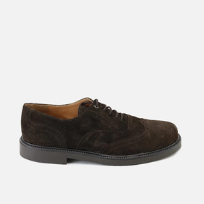 Eli Oxford cordón  Inglese Express Marron